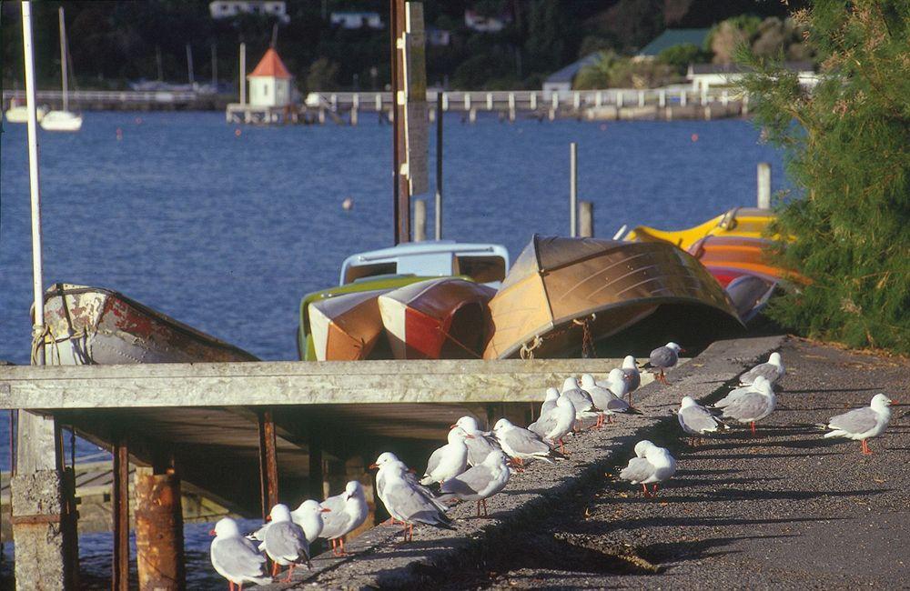 Akaroa Criterion Motel Exterior foto